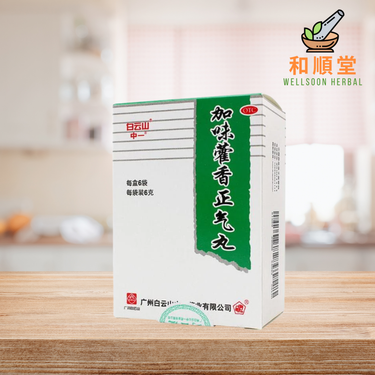 Baiyunshan Jiawei Huoxiang Zhengqi Wan 藿香正气丸 box with six 6g sachets