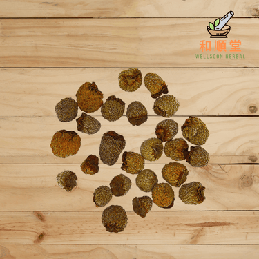 Palmleaf Raspberry Fruit Rubus Fruit Fructus Rubi 覆盆子 600g - Wellsoon Herbal