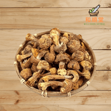 Almond mushroom Agaricus subrufescens 姬松茸 250g - Wellsoon Herbal