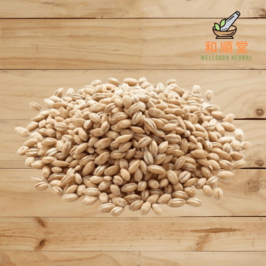 Dried pelted wheat 特級小麥米 1kg - Wellsoon Herbal