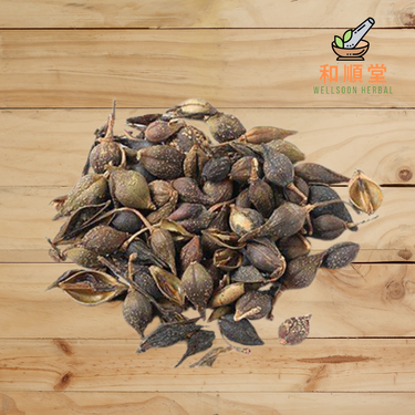 Dried forsythia fruit Lian Qiao 連翹 100g