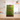 Chuan Xiong Cha Tiao Wan 川芎茶調散 bottle of 200 concentrated pills