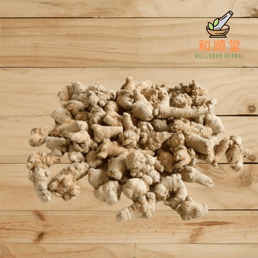 Premium Panax Notoginseng 500g (San Qi Tian Qi 三七 田七头) - Wellsoon Herbal