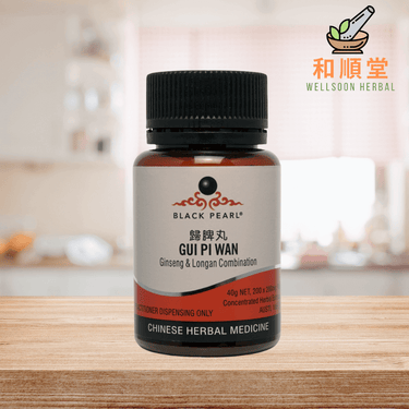 Black Pearl Ginseng & Longan Combination Gui Pi Wan 歸脾丸 - Wellsoon Herbal