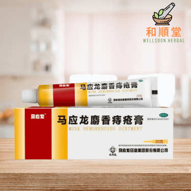 Mayinglong Musk Hemorrhoids Ointment 20g Value Size Version 马应龙人 - Wellsoon Herbal