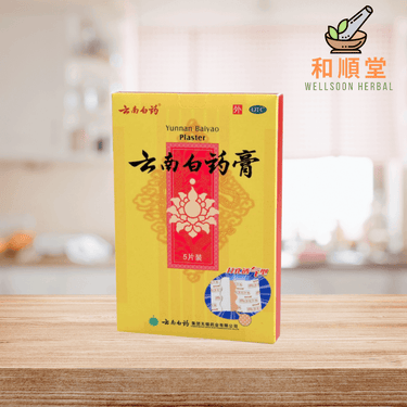 Yunnan Baiyao Plaster 5 plasters 云南白药膏 - Wellsoon Herbal