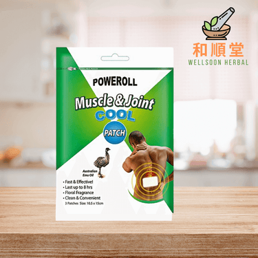 Poweroll Muscle and Joint Patch Cool 5 Patches - Wellsoon Herbal