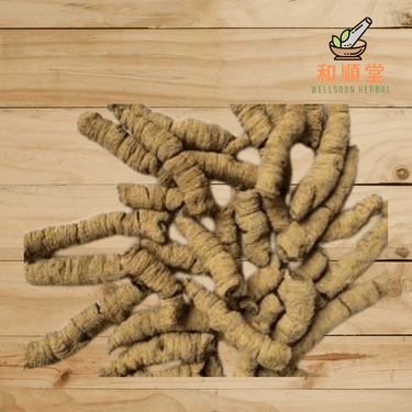 Morinda Root 600g (Morinda Officinalis Ba Ji Tian 巴戟天) - Wellsoon Herbal