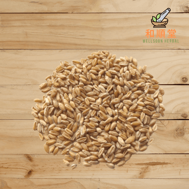 Blighted Wheat Fructus Tritici Levis Fu Xiao Mai 浮小麦 600g - Wellsoon Herbal