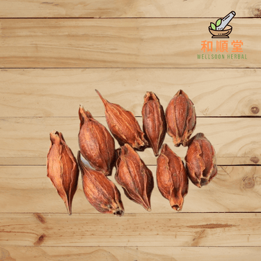 Cape jasmine fruits Fructus Gardeniae Zhi Zi 栀子 600g - Wellsoon Herbal