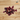 Dried schisandra berry Wu Wei Zi 五味子 600g