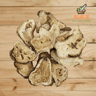 Bai Zhu Atractylodes Macrocephala Rhizoma 白术 600g - Wellsoon Herbal
