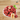 Dried red dates Hong Zao 紅棗 500g