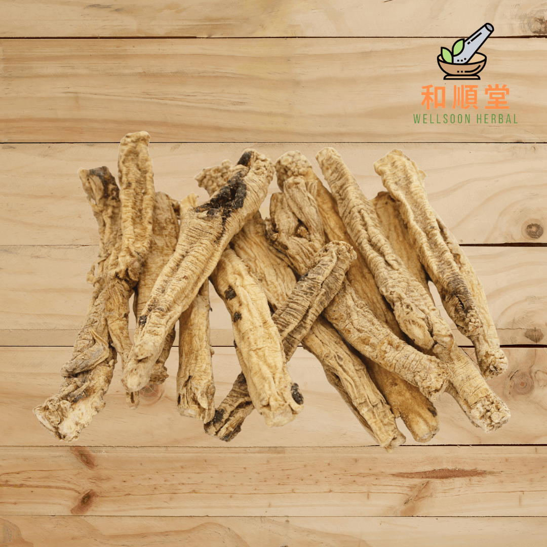 Premium Codonopsis Root Dang Shen 党参特級600g - Wellsoon Herbal