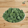 Panax Noto Ginseng Flower San Qi Flower 100g (for brewing tea) - Wellsoon Herbal
