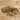Aucklandia Lappa 100g Mu xiang 木香