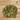 Flos Sophorae Immaturus 100g Huai Hua 槐花米