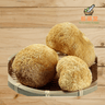 Lion's Mane Fungus Monkey head Mushroom 猴頭菇 250g - Wellsoon Herbal